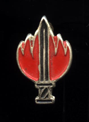 Operational Service badge - painted