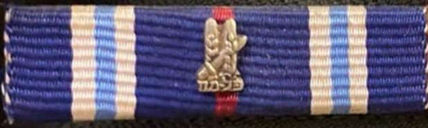 Palmach clasp