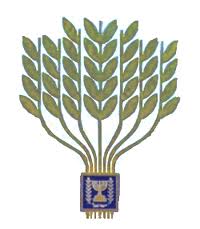 Israel President's Award for Volunteeris