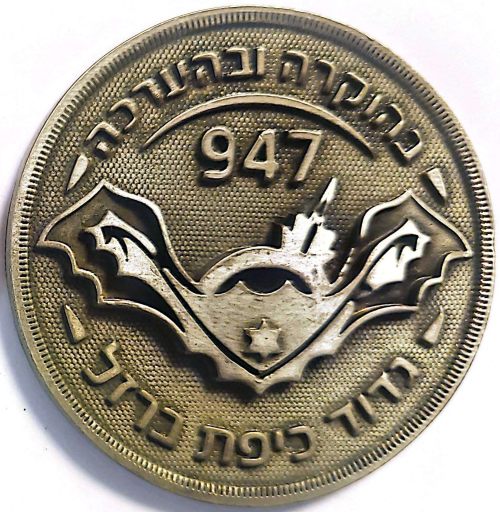 Iron Dome Medal
