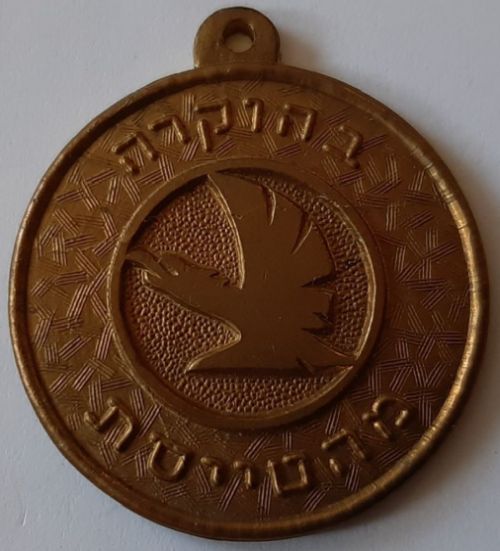 Israel Air Force Medal or Keychain