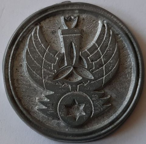 Israel Air Force Medal or Keychain