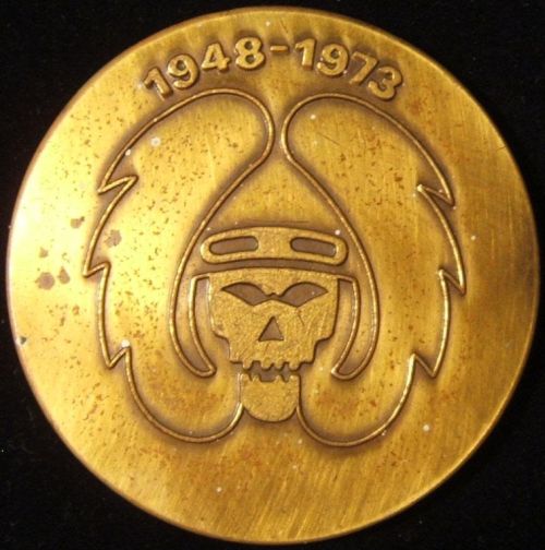 Israel Air Force Medal or Keychain