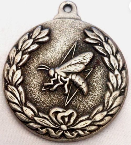 Israel Air Force Medal or Keychain