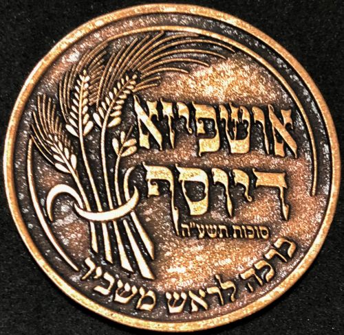A blessing coin of the institutions of Chernovyl