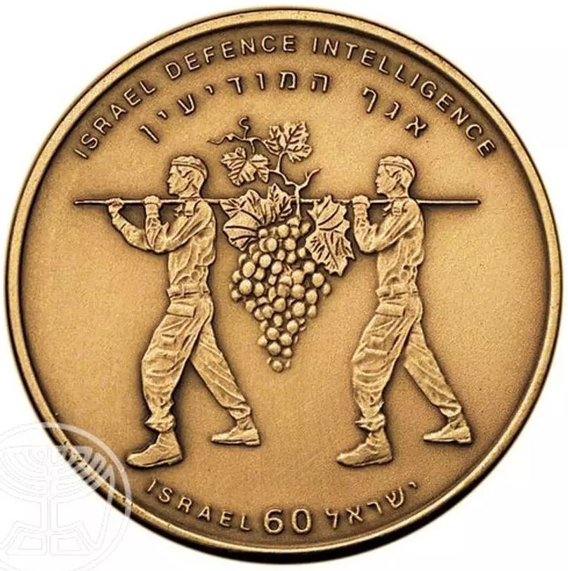 Israel Intelligence Corps