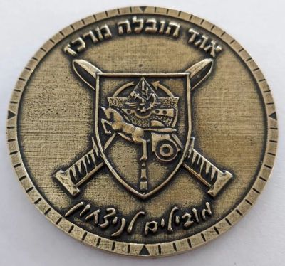 Iron Swords War commemorative medal