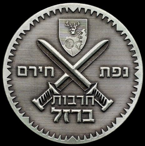 Iron Swords War Medal