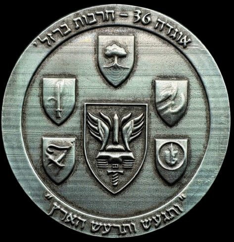 Iron Swords War Medal