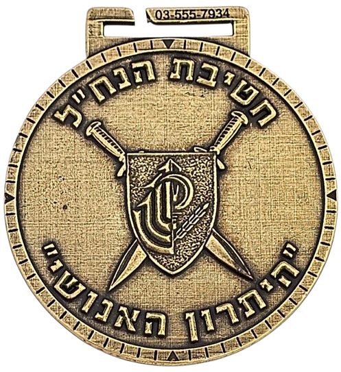 Iron Swords War Medal
