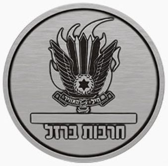 Iron Swords War commemorative medal