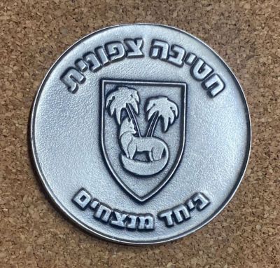 Iron Swords War commemorative medal