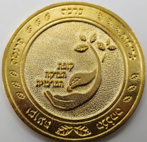 Medal of the Central Charity Fund