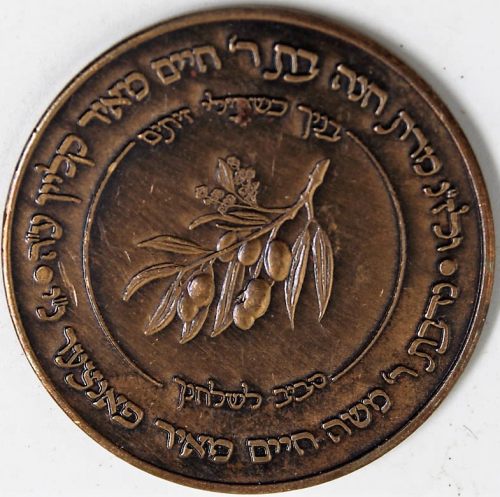 Chanukah coin from the Rebbe of Babov