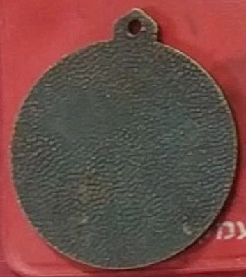 Israeli Medal Kinneret Crossing Swim Competition