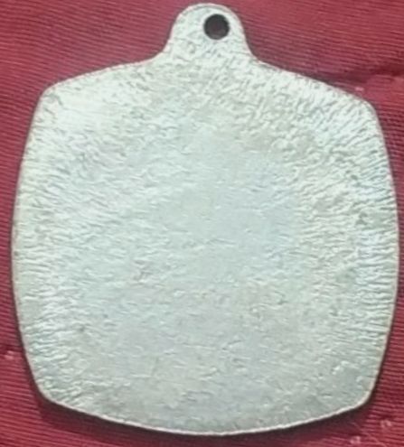 Israeli Medal Kinneret Crossing Swim Competition