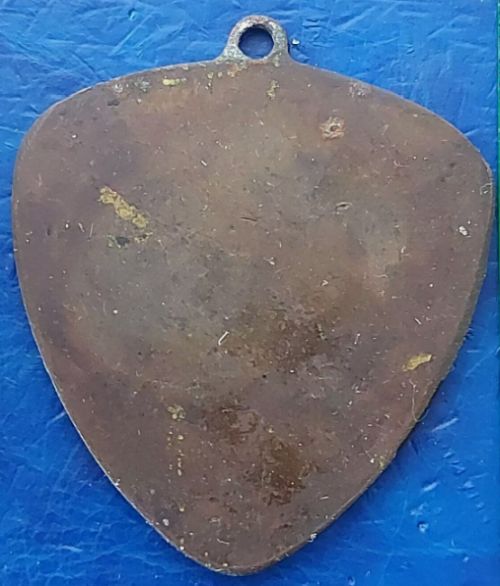 Israeli Medal Kinneret Crossing Swim Competition