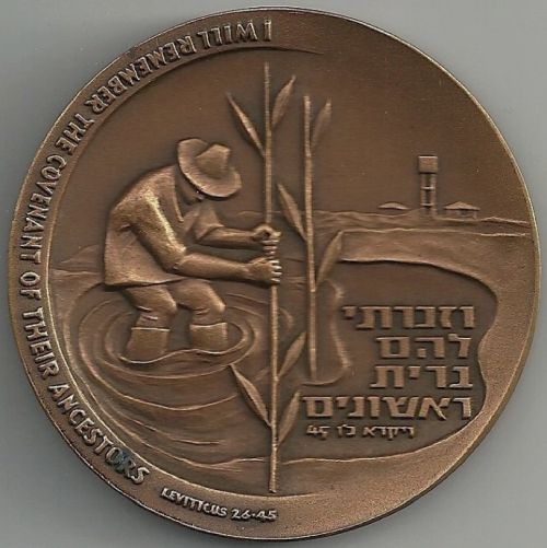 Bronze Israeli Medal First Settlers Year