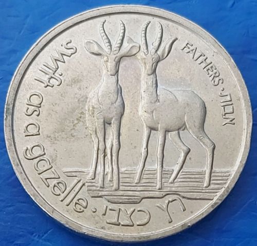 Medal Gazelle And Sternbergia