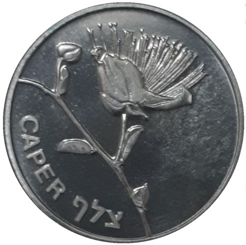 Medal Tawny Owl And Caper