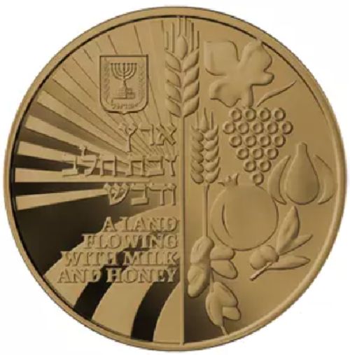 Medal Israel's 70th Anniversary