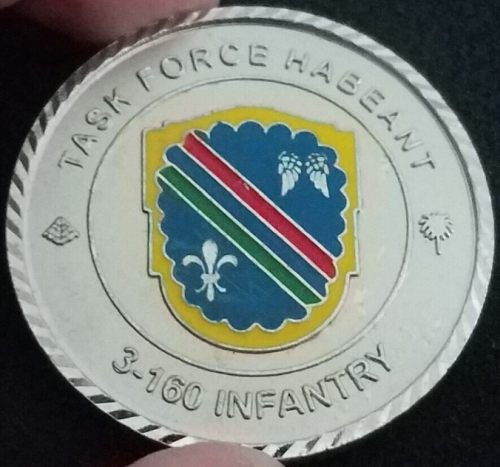 160th Infantry Battalion Task Force Habeant medal