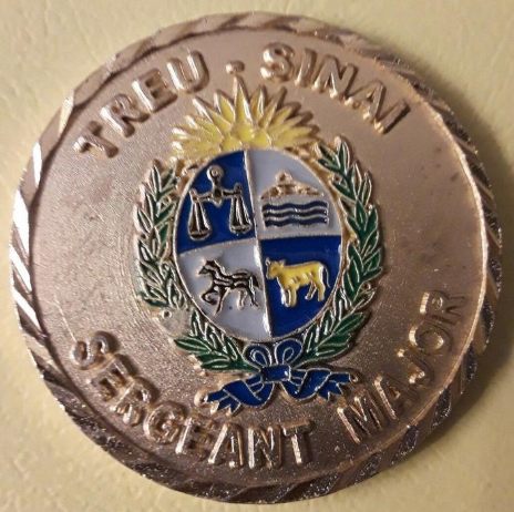 MFO Sinai Medal