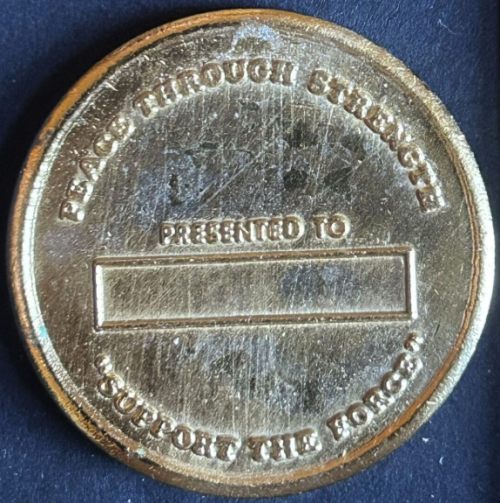 MFO Sinai Support Battalion Presentation Medal