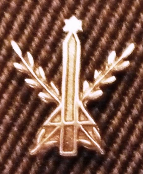 Israel Defense Award gold