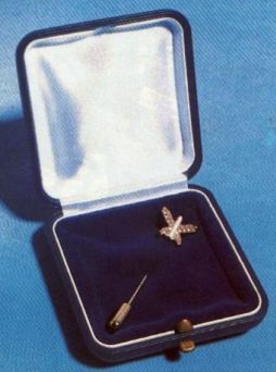 Israel Defense Award pin in box