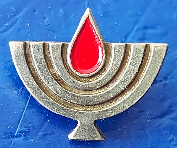 State Warriors decoration brooch front