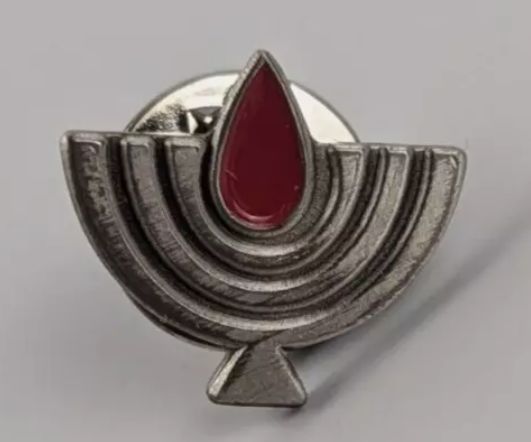 State Warriors decoration pin front