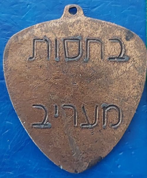 Israeli Marching Medal