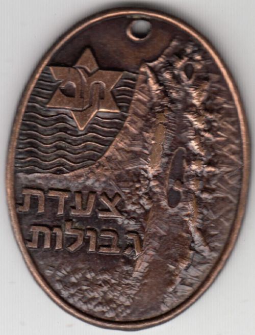 Israeli Marching Medal