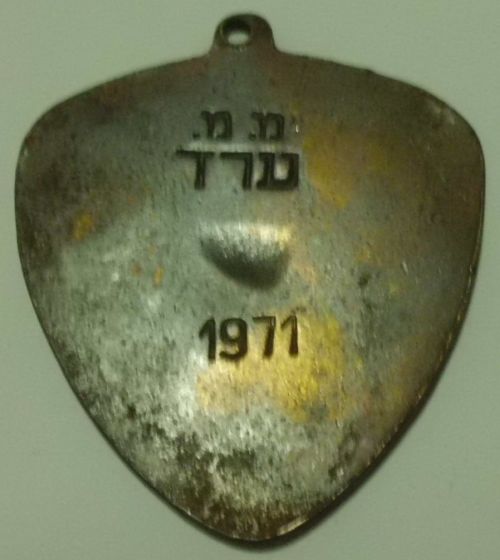 Israeli Marching Medal