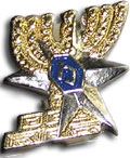 President's Award for Outstanding Policemen