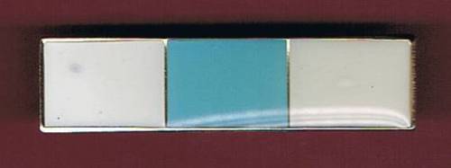 Police Volunteers Medal ribbon 