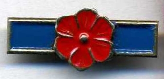 Etzel Badge for the wounded